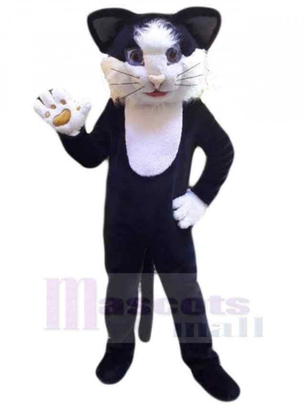 Chat costume de mascotte