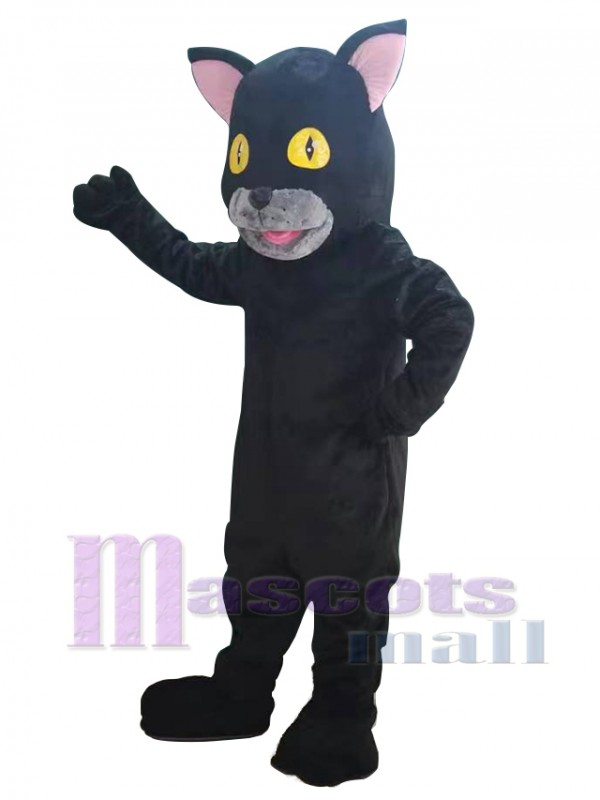 Chat costume de mascotte