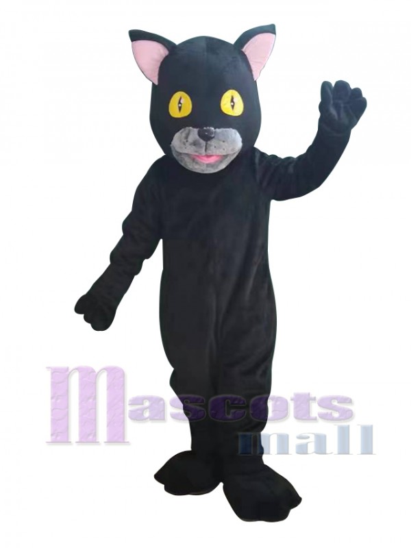 Chat costume de mascotte