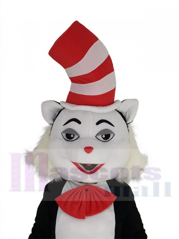 Chat costume de mascotte