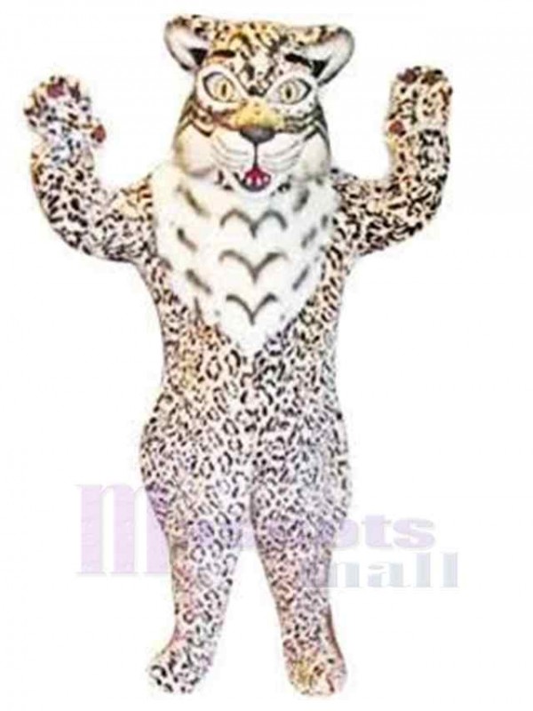 Chat costume de mascotte