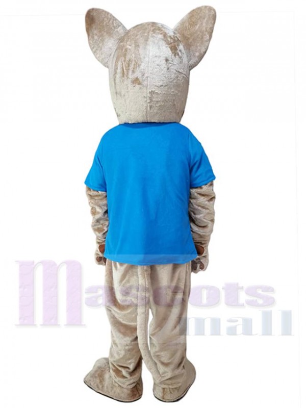 Chat costume de mascotte