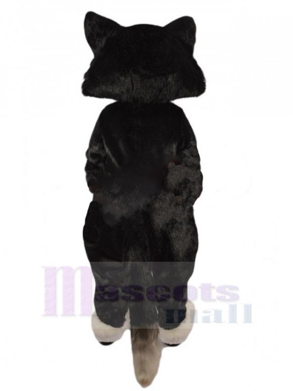 Chat costume de mascotte