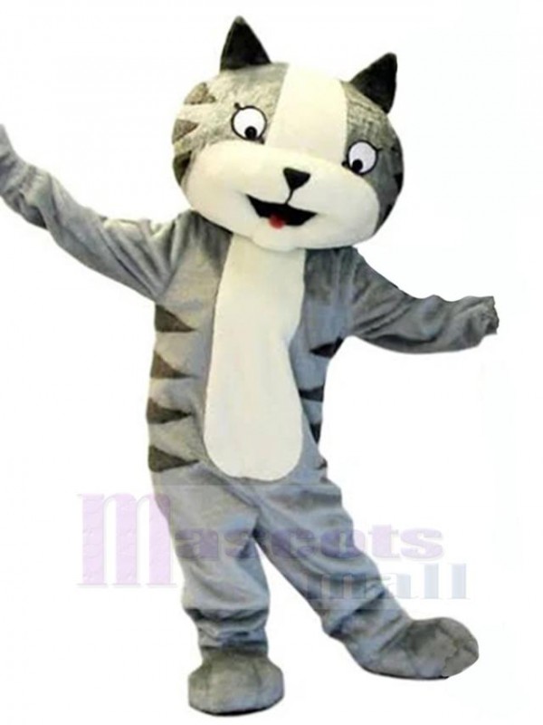 Chat costume de mascotte