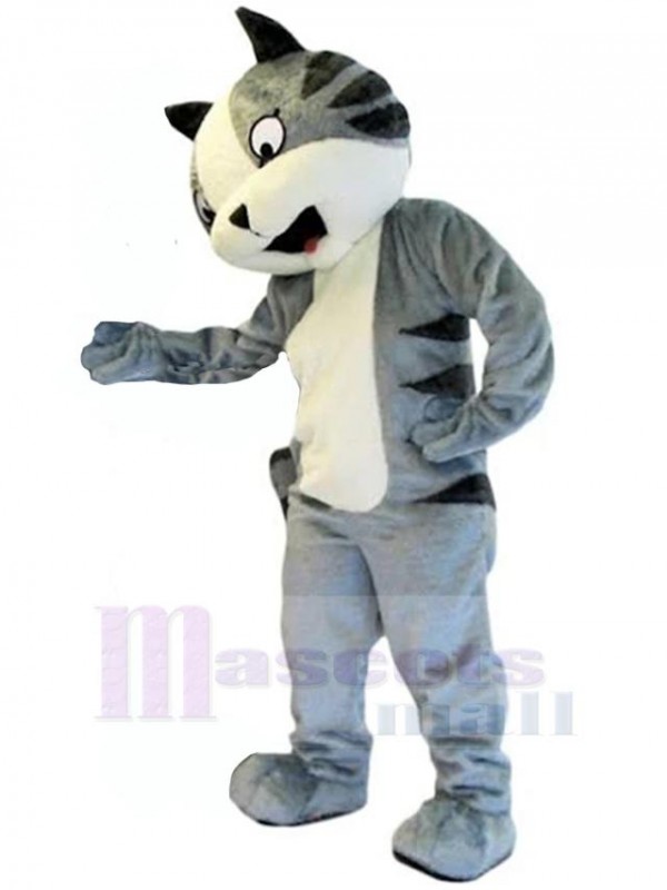 Chat costume de mascotte
