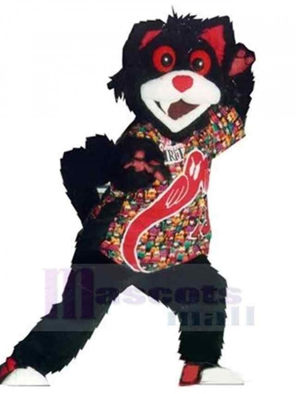 Chat costume de mascotte