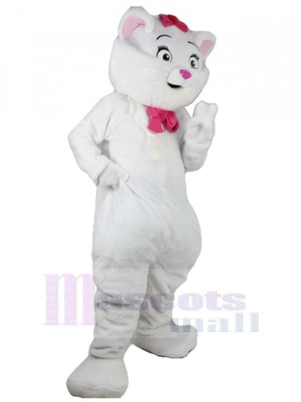 Chat costume de mascotte