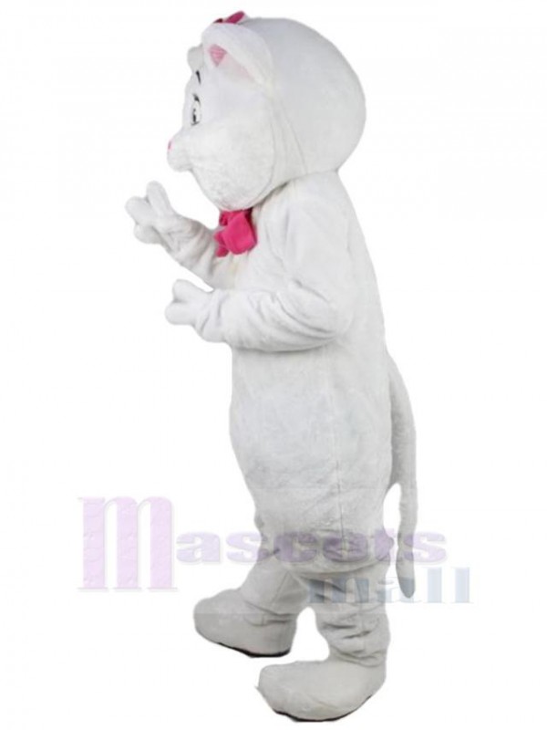 Chat costume de mascotte