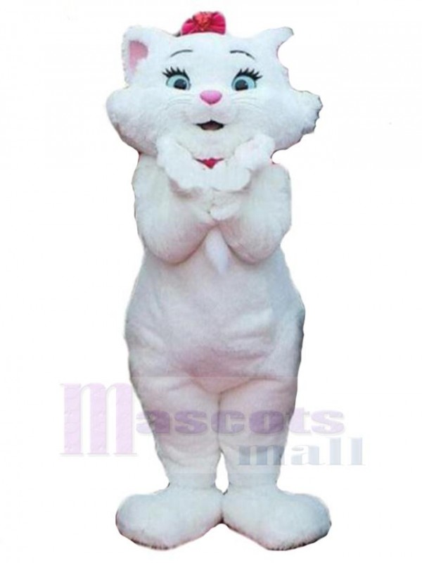 Chat costume de mascotte