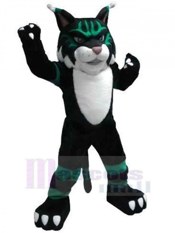 Chat costume de mascotte