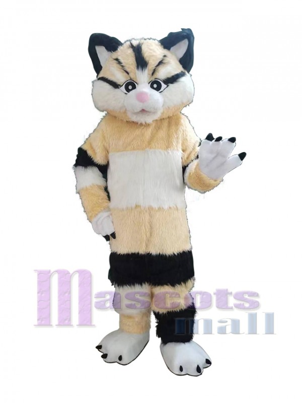 Chat costume de mascotte