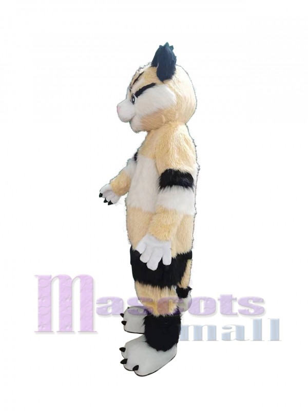 Chat costume de mascotte