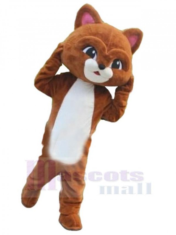 Chat costume de mascotte