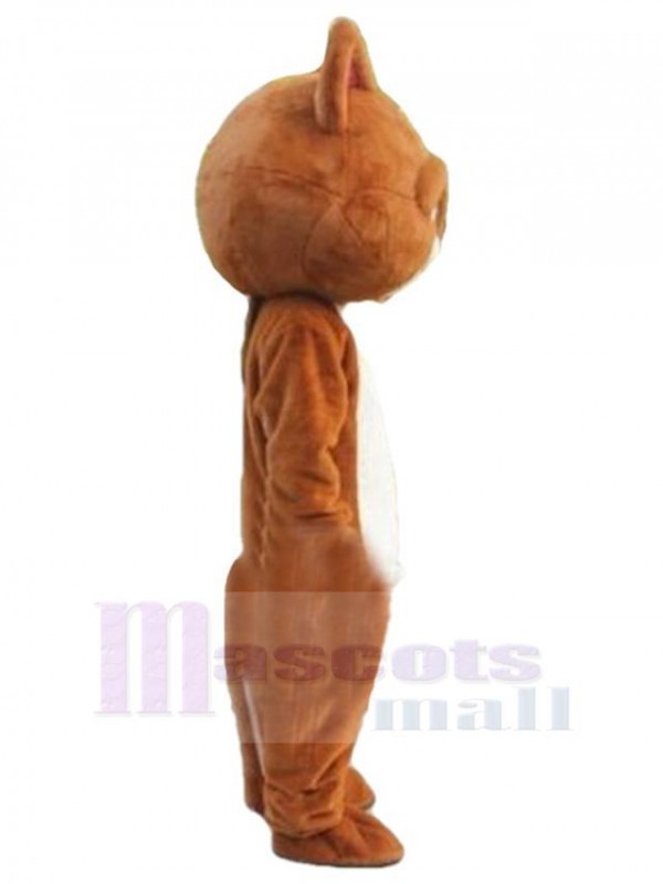 Chat costume de mascotte