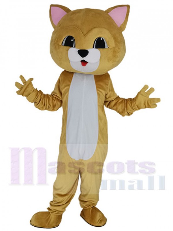 Chat costume de mascotte