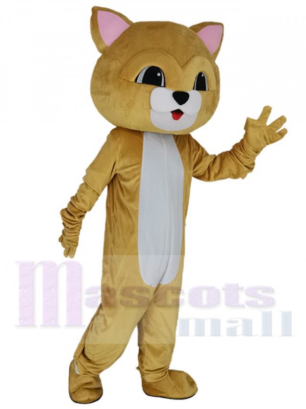 Chat costume de mascotte