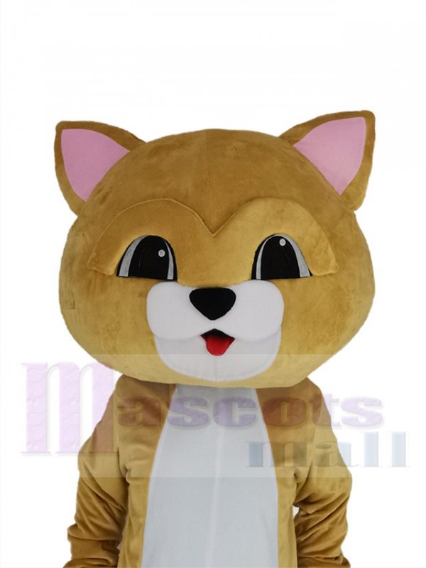 Chat costume de mascotte