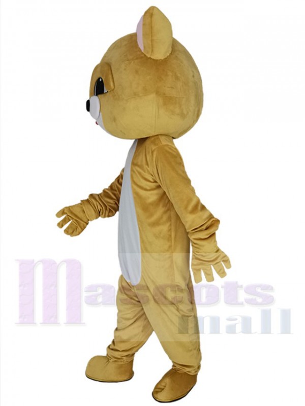 Chat costume de mascotte