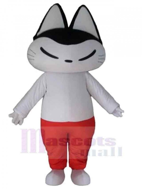 Chat costume de mascotte