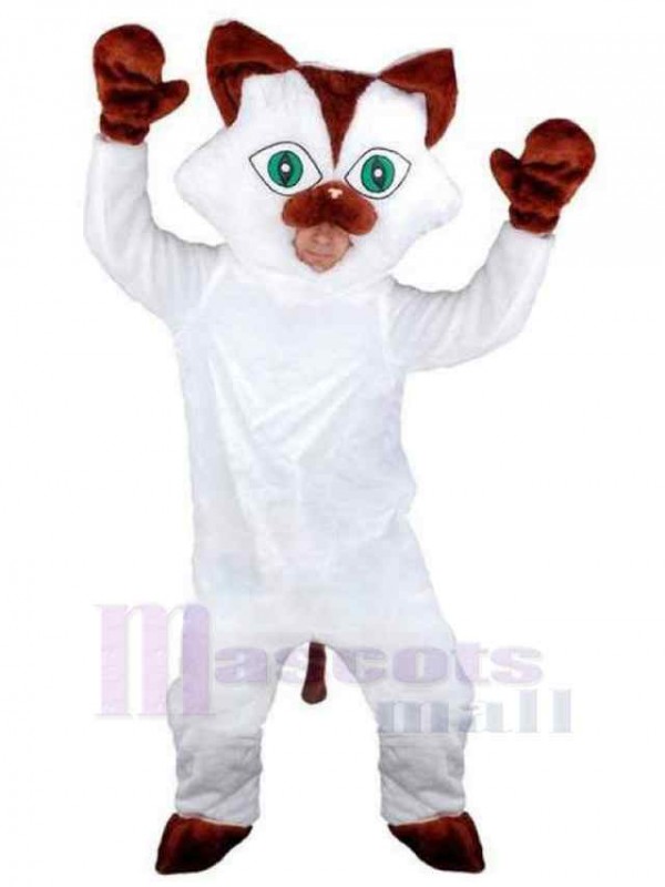 Chat costume de mascotte