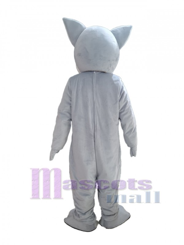 Chat costume de mascotte