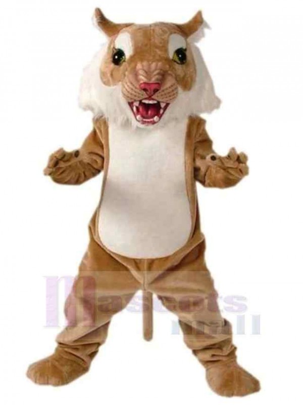 Chat costume de mascotte