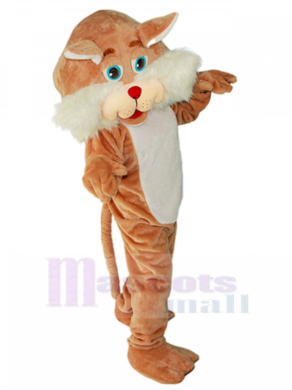 Chat costume de mascotte