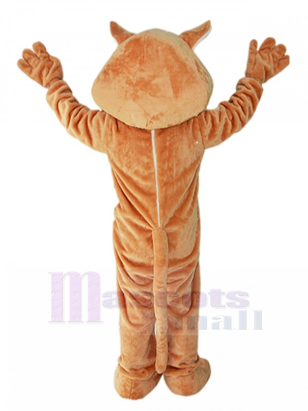 Chat costume de mascotte