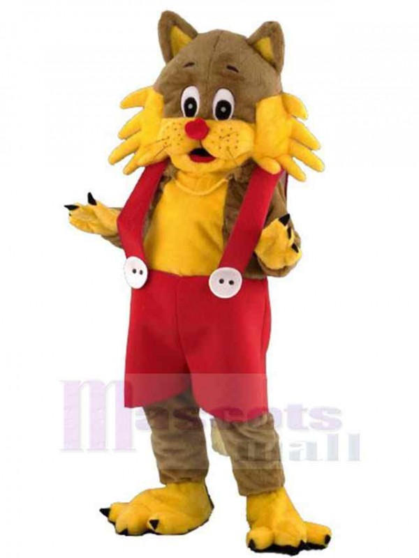 Chat costume de mascotte