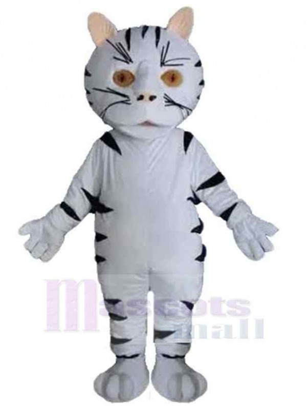 Chat costume de mascotte