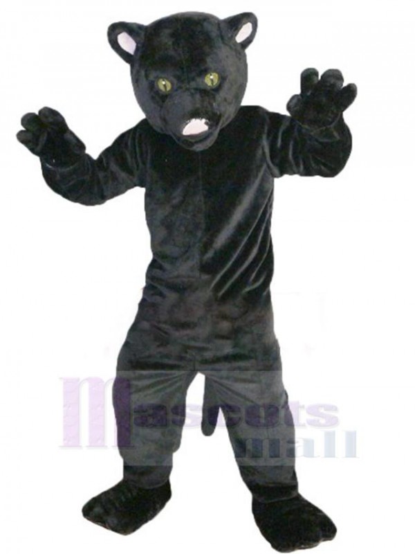Chat costume de mascotte