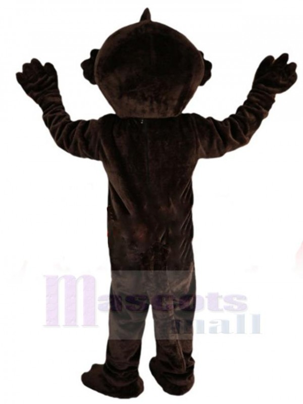 Chat costume de mascotte
