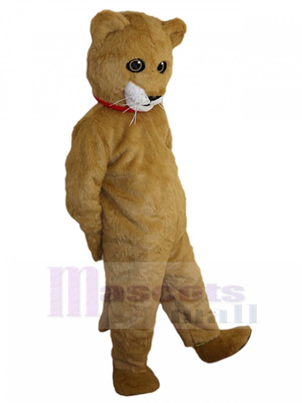 Chat costume de mascotte