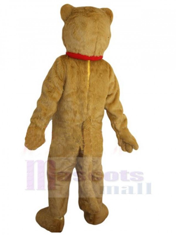 Chat costume de mascotte