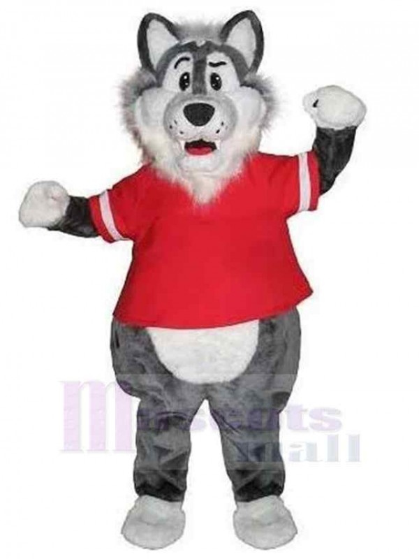 Loup costume de mascotte
