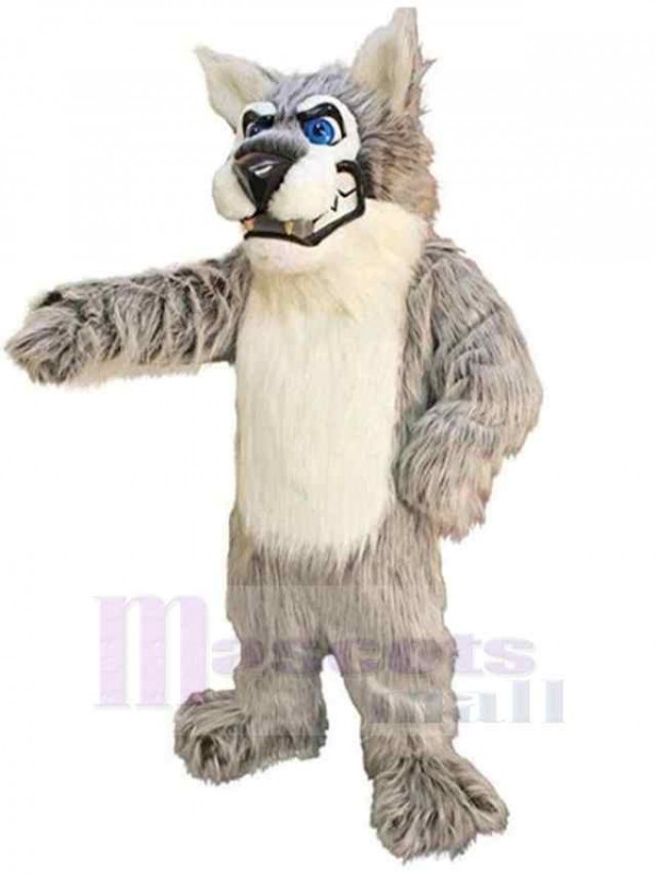 Loup costume de mascotte