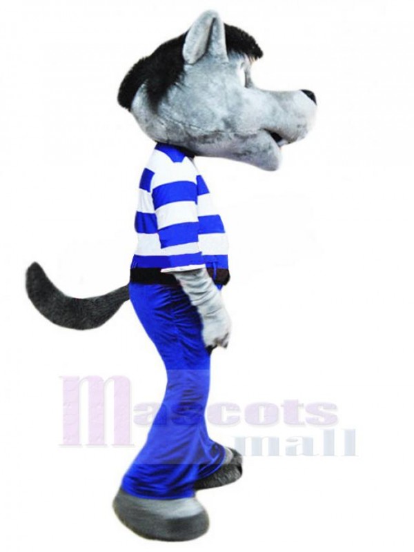 Loup costume de mascotte