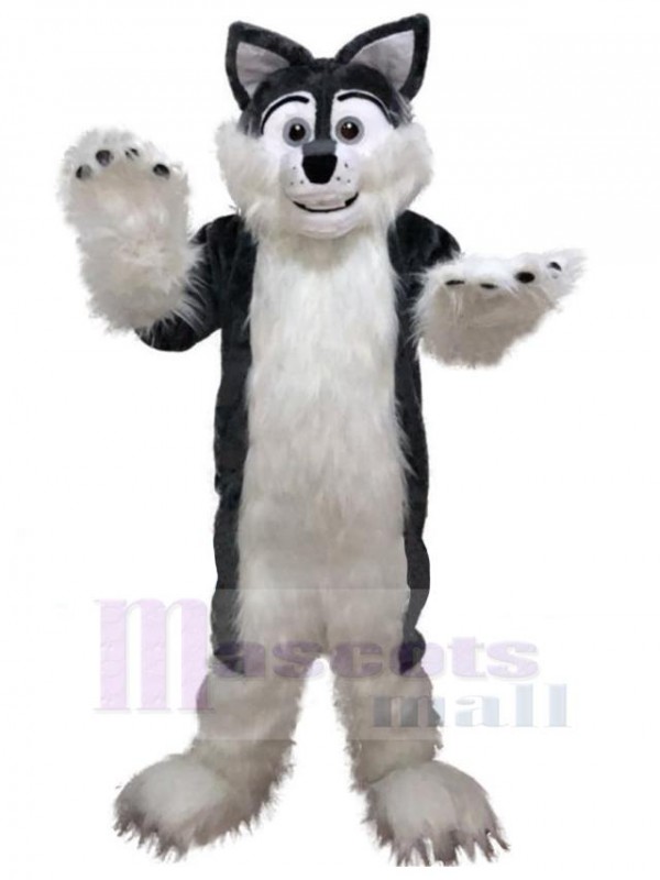 Loup costume de mascotte