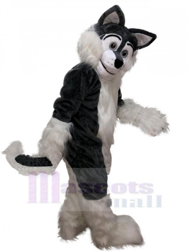 Loup costume de mascotte
