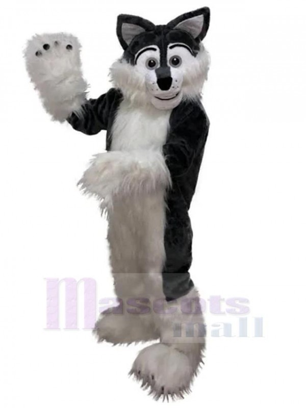 Loup costume de mascotte