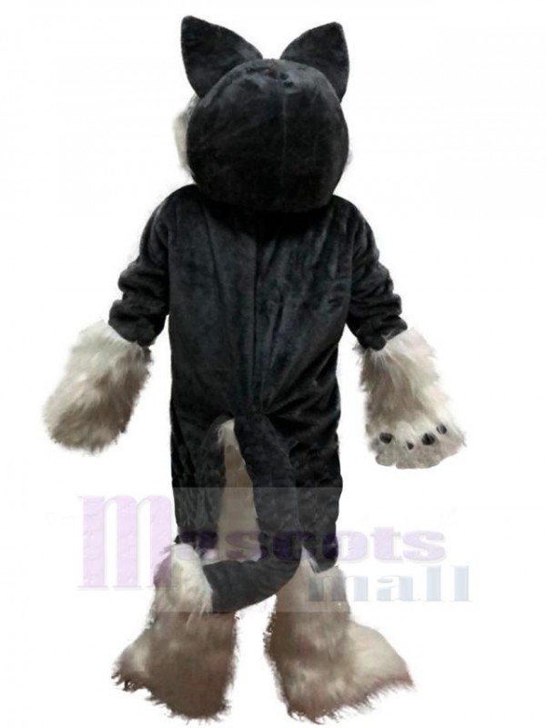 Loup costume de mascotte