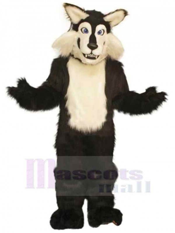 Loup costume de mascotte