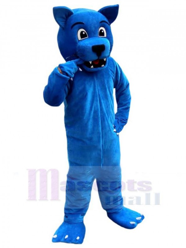 Loup costume de mascotte