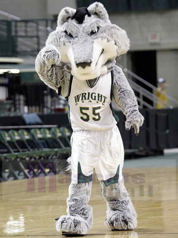 Loup costume de mascotte