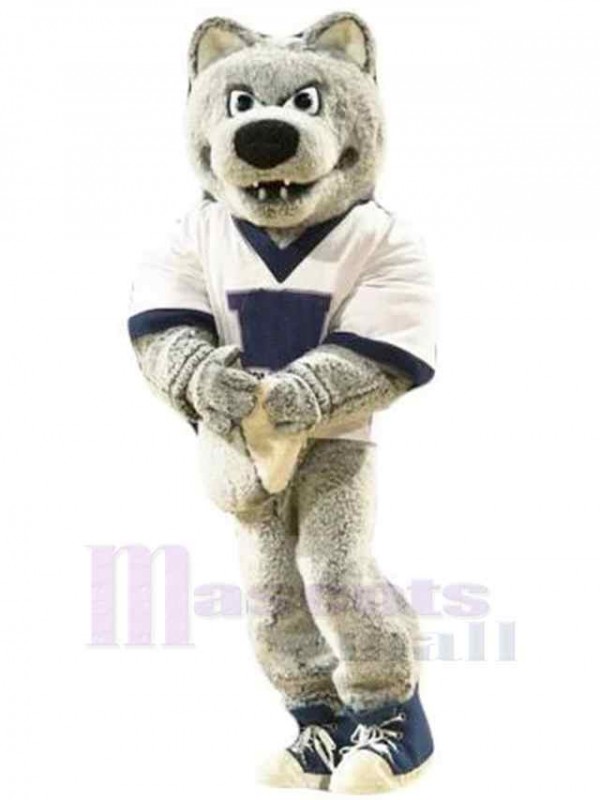 Loup costume de mascotte