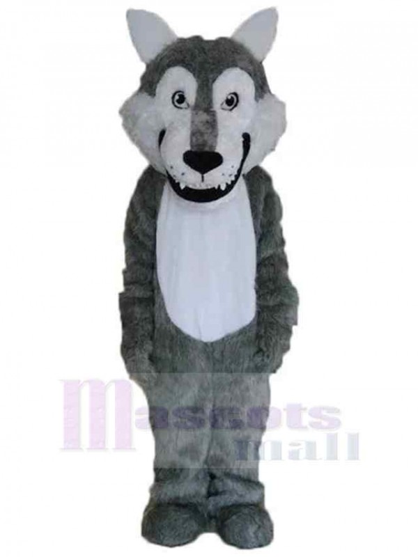 Loup costume de mascotte