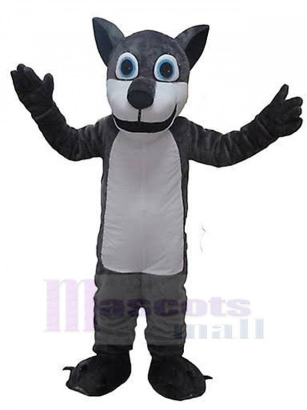 Loup costume de mascotte