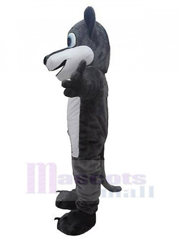 Loup costume de mascotte
