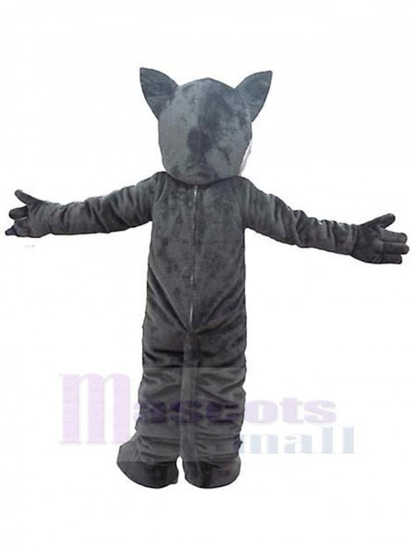 Loup costume de mascotte