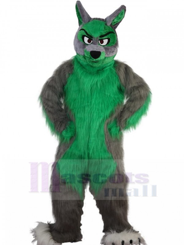 Loup costume de mascotte